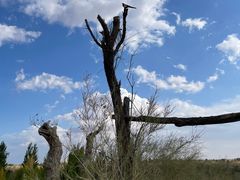 -亿利库布其七星湖沙漠生态旅游区