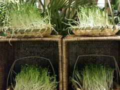 android_upload_pic-大头椰·椰子鸡火锅(南宁万象城店)