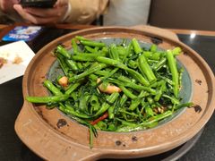 桑巴酱虾米啫空心菜-港丽餐厅(天河城店)
