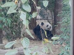 -成都动物园