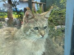 -青藏高原野生动物园