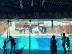 -秦皇岛乐岛海洋王国