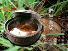 -云海肴·汽锅鸡·云南菜(天津国金汇店)