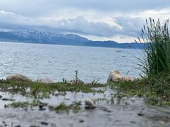 -赛里木湖风景名胜区