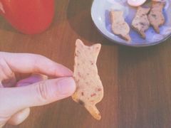 -猫咪博物馆(顶澳仔猫街店)