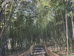 -乌镇东栅景区