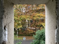 -四川农业大学(雅安校区)