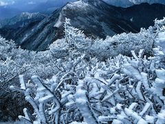 -秦岭风景区