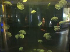 -常州海昌海洋探索馆