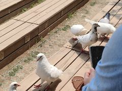 -音乐台