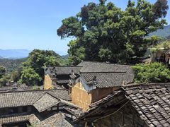 -杨家堂村