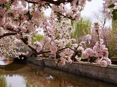 -海棠花溪(元大都城垣遗址公园)