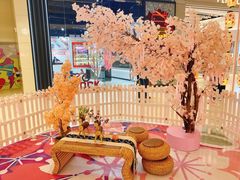 -老板恋上鱼(印象城店)