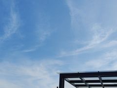 -瑰丽酒店·海吧·天际下午茶·现场DJ·天台酒吧