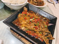 铁板桂鱼-原鄉本味 楚菜 丹江口鱼(北苑店)