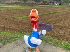 -靖西鹅泉风景区