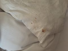 -南京商茂国际酒店(新街口德基广场店)