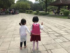 -江心岛