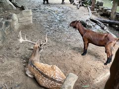 -长鹿旅游休博园