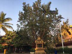 -西双版纳总佛寺