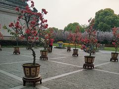 -荆川公园