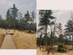 -云南野生动物园