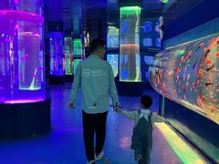 -左海海底世界