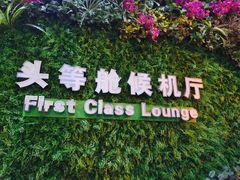-绵阳南郊机场