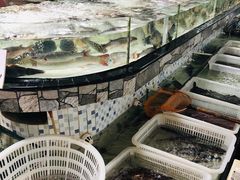 海鲜池-沙田台山海鲜·酣客酒窖