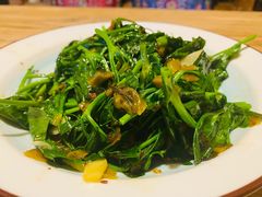 清炒豆尖-云之南(八里庄店)