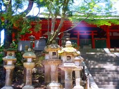-奈良公园