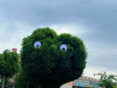 -特克斯八卦城