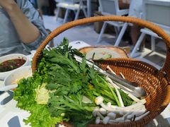-濠七糟粕醋•海南酸汤火锅(中关村店)