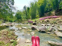 -广州白江湖森林公园