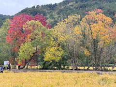 -塔川景区