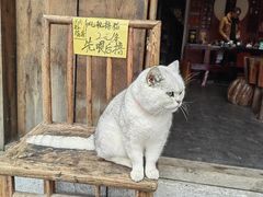 -羊楼洞