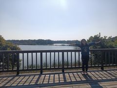 -大湾区中央湿地公园