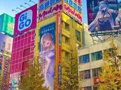 -秋叶原电器街