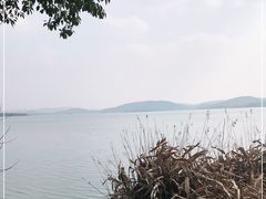 -东湖落雁景区