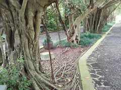 -海口火山口国家地质公园