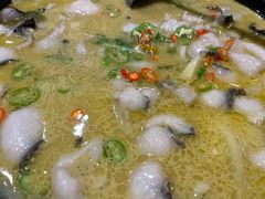 -滇铺子·云南特色菜·第九届野生菌美食节(东风东路c86店)