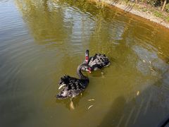 -常州花鸟园酒店(西太湖品牌优选店)