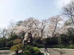 -南京东郊国宾馆