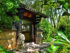 -西溪国家湿地公园