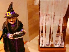 -视界美食自助餐厅·石家庄希尔顿酒店