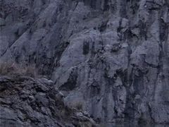 -阿迪达斯(武林银泰三叶草店)