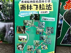 -西双版纳原始森林公园