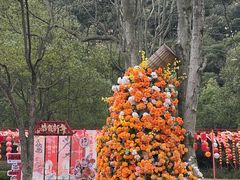 -黄公望隐居地