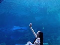 -郑州海洋馆