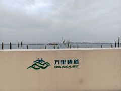 -大湾区中央湿地公园-十九涌